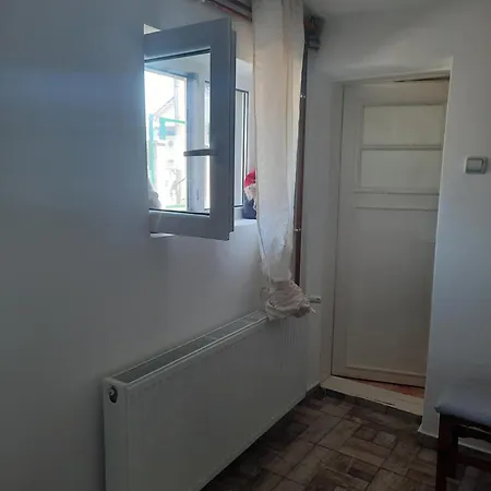 Apartment Tekija The Iron Gate